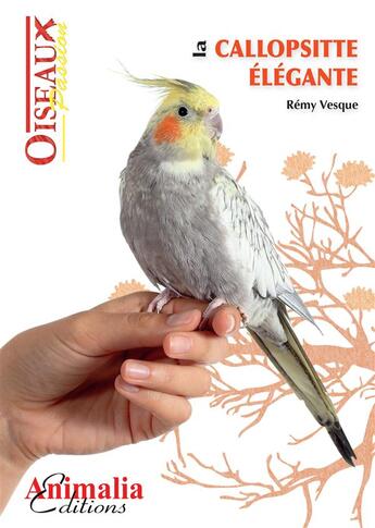 Couverture du livre « La callopsitte élégante » de Remy Vesque aux éditions Animalia