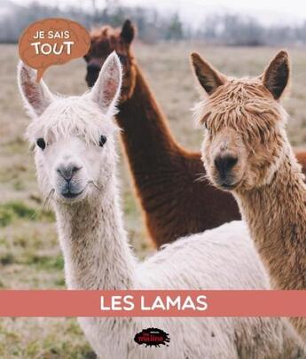 Couverture du livre « Les lamas » de Naila Aberkan aux éditions Les Malins