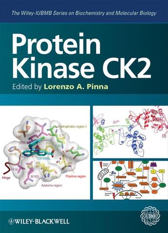 Couverture du livre « Protein Kinase CK2 » de Lorenzo A. Pinna aux éditions Wiley-blackwell