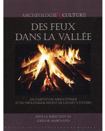 Couverture du livre « Des feux dans la vallée » de Pur aux éditions Pu De Rennes