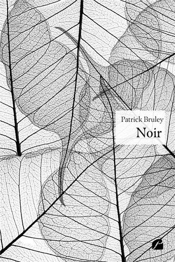 Couverture du livre « Noir » de Patrick Bruley aux éditions Editions Du Panthéon