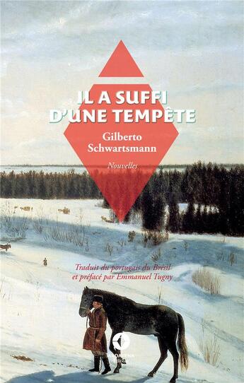 Couverture du livre « Il a suffi d'une tempête » de Schwartsmann/Tugny aux éditions Ardavena