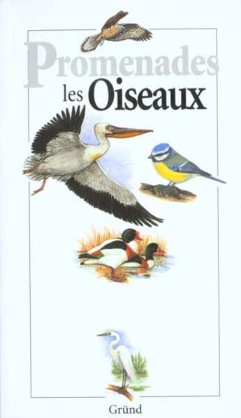 Couverture du livre « Les oiseaux » de Michel Cuisin aux éditions Grund