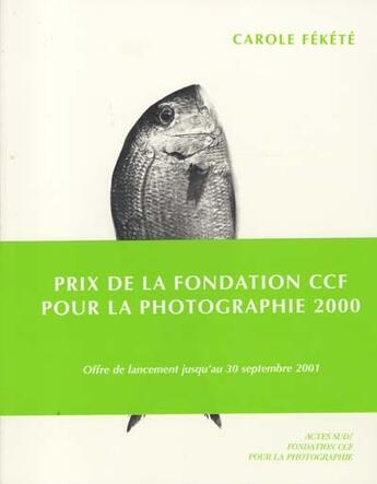 Couverture du livre « Carole fekete » de Collectif/Fekete aux éditions Actes Sud