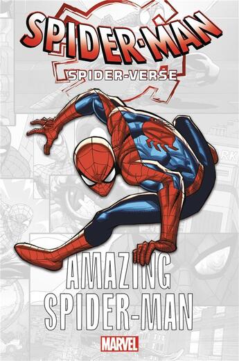 Couverture du livre « Marvel-verse : amazing spider-man » de  aux éditions Panini