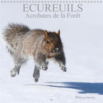 Couverture du livre « Les ecureuils du quebec au fil » de Philippe Henry aux éditions Calvendo