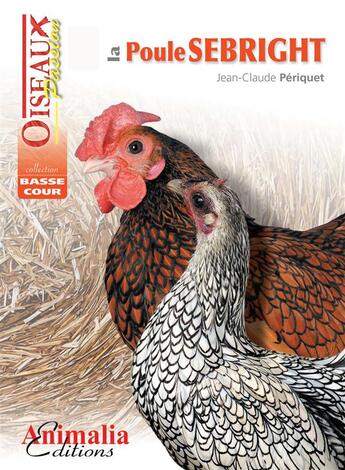 Couverture du livre « La poule sebright » de Jean-Claude Periquet aux éditions Animalia