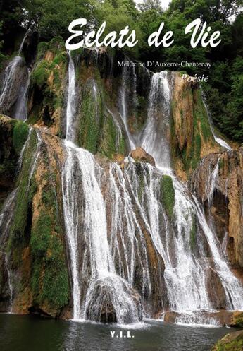 Couverture du livre « Éclats de vie » de Meluzine D' Auxerre-Chantenay aux éditions Yil