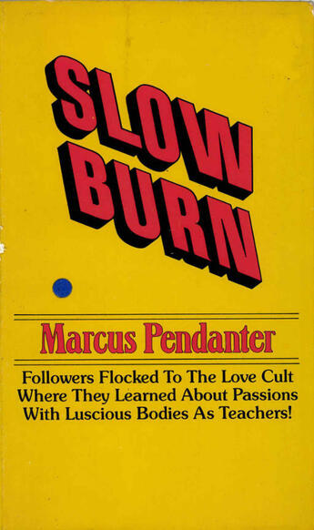 Couverture du livre « Slow Burn » de Marcus Pendanter aux éditions Disruptive Publishing