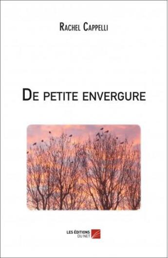 Couverture du livre « De petite envergure » de Rachel Cappelli aux éditions Editions Du Net