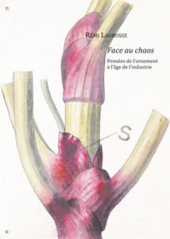 Couverture du livre « Face au chaos ; pensées de l'ornement à l'âge de l'industrie » de Rémi Labrusse aux éditions Les Presses Du Reel