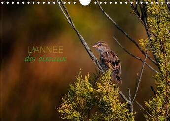 Couverture du livre « L'année des oiseaux (Calendrier mural 2020 DIN A4 horizontal) ; Calendrier regroupant quelques oiseaux migrateurs ou passereaux (Calendrier mensuel, 14 Pages ) » de Cecile Gans aux éditions Calvendo