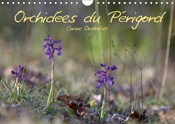 Couverture du livre « Orchidees du perigord calendrier mural 2018 din a4 horizonta - belles et fragiles fleurs sauv » de Oosterlee C aux éditions Calvendo