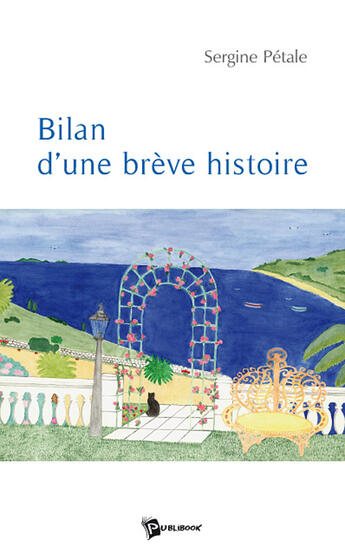 Couverture du livre « Bilan d'une brève histoire » de Sergine Petale aux éditions Publibook