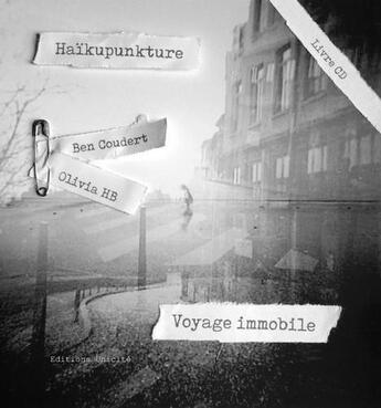 Couverture du livre « Haikupunkture - voyage immobile » de Coudert/Hb aux éditions Unicite