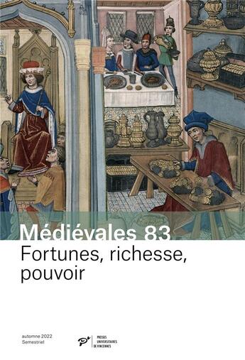 Couverture du livre « Fortunes, richesse, pouvoir » de Didier Boisseuil aux éditions Pu De Vincennes