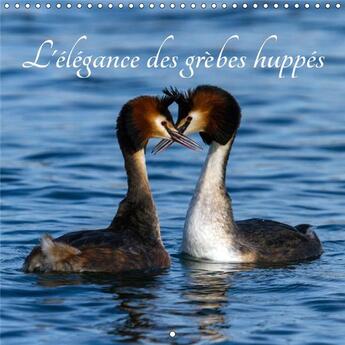 Couverture du livre « L elegance des grebes huppes calendrier mural 2018 300 300 m - les grebes huppes une beaute d » de Duvernay E aux éditions Calvendo