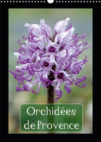 Couverture du livre « Orchidees de provence calendrier mural 2020 din a3 vertical - orchidees rencontrees dans les » de Lepage Francois aux éditions Calvendo