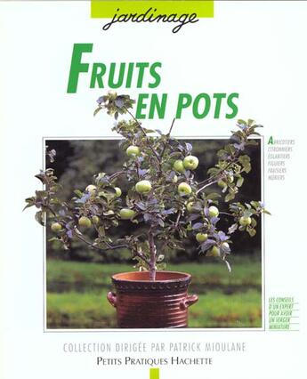 Couverture du livre « Fruits En Pots » de P Himmelhuber aux éditions Hachette Pratique