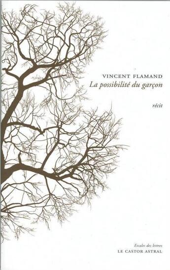 Couverture du livre « La possibilité du garçon » de Vincent Flamand aux éditions Castor Astral