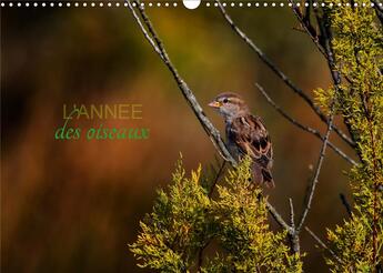 Couverture du livre « L'année des oiseaux (Calendrier mural 2020 DIN A3 horizontal) ; Calendrier regroupant quelques oiseaux migrateurs ou passereaux (Calendrier mensuel, 14 Pages ) » de Cecile Gans aux éditions Calvendo