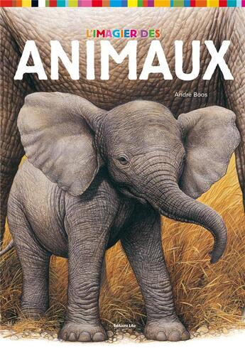 Couverture du livre « L'imagier des animaux » de Andre Boos aux éditions Lito