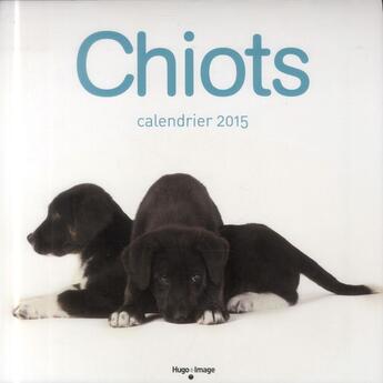 Couverture du livre « Chiots ; calendrier 2015 » de  aux éditions Hugo Image