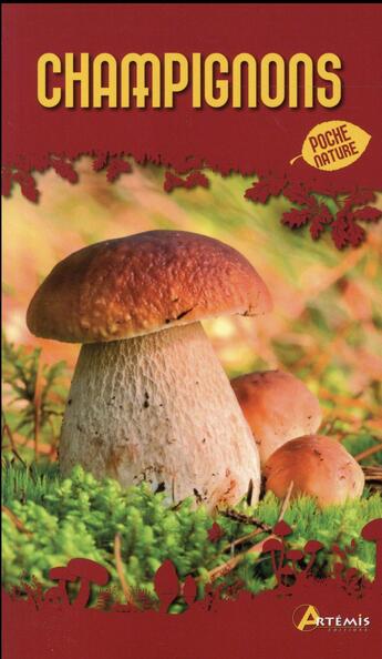 Couverture du livre « Champignons » de Jean-Marie Polese aux éditions Artemis