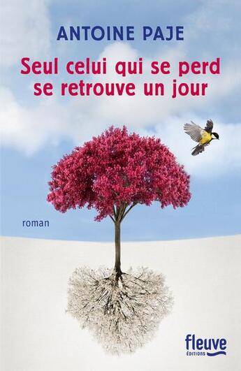 Couverture du livre « Seul celui qui se perd se retrouve un jour » de Antoine Paje aux éditions Fleuve Editions