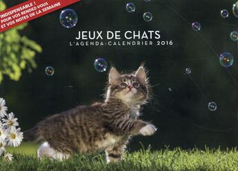 Couverture du livre « L'agenda-calendrier 2016 ; jeux de chats » de  aux éditions Hugo Image