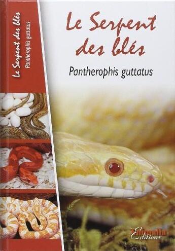 Couverture du livre « Le serpent des blés - Pantherophis guttatus » de Rosselle Stephane aux éditions Animalia