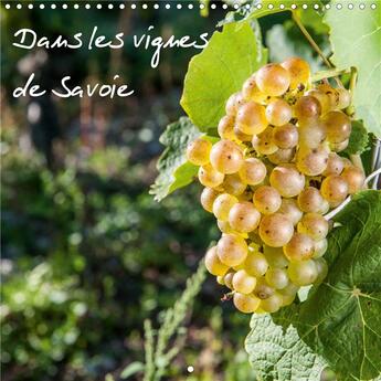 Couverture du livre « Dans les vignes de Savoie (Calendrier mural 2020 300 × 300 mm Square) ; Les vignes au pays de Savoie (Calendrier mensuel, 14 Pages ) » de Francis Demange aux éditions Calvendo