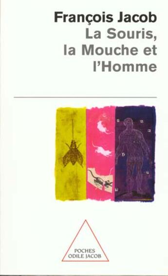 Couverture du livre « La souris, la mouche et l'homme » de Francois Jacob aux éditions Odile Jacob