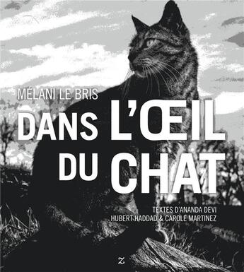 Couverture du livre « Dans l'oeil du chat » de Hubert Haddad et Carole Martinez et Melani Le Bris et Ananda Devi aux éditions Zulma