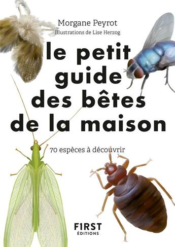 Couverture du livre « Le petit guide d'observation des petites bêtes de la maison » de Lise Herzog et Morgane Peyrot aux éditions First