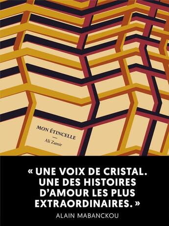 Couverture du livre « Mon étincelle » de Ali Zamir aux éditions Le Tripode