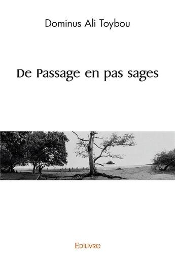 Couverture du livre « De passage en pas sages » de Dominus Ali Toybou aux éditions Edilivre