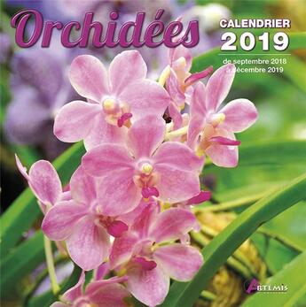 Couverture du livre « Orchidees (2019) » de  aux éditions Artemis