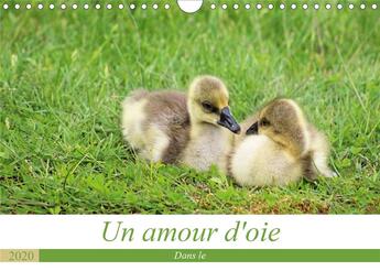 Couverture du livre « Un amour d'oie (édition 2020) » de Ladan Christina aux éditions Calvendo