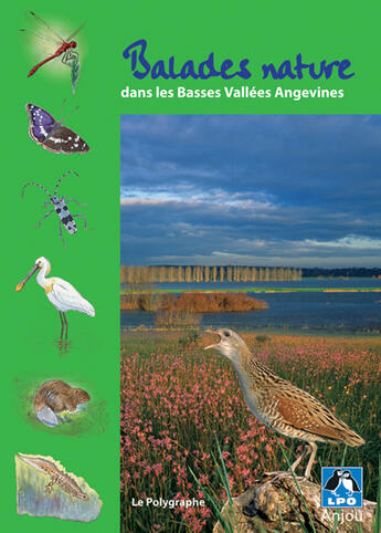 Couverture du livre « Balades nature dans les basses vallées angevines » de L-Loir O-Amara P aux éditions D'orbestier