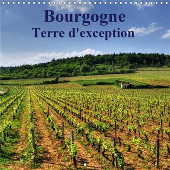 Couverture du livre « Bourgogne terre d exception calendrier mural 2020 300 300 mm square - la bourgogne magnifique region (édition 2020) » de Didier Sibourg aux éditions Calvendo