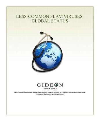 Couverture du livre « Less-common flaviviruses ; global status » de Gideon Informatics Inc. aux éditions Gideon Informatics