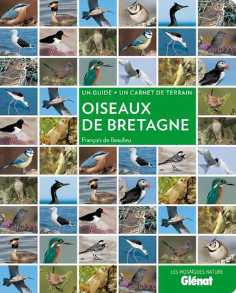 Couverture du livre « Oiseaux de Bretagne » de Francois De Beaulieu aux éditions Glenat