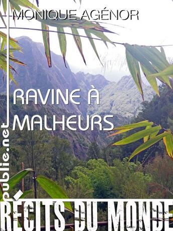 Couverture du livre « Ravine à malheurs » de Monique Agenor aux éditions Publie.net