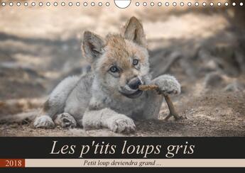 Couverture du livre « Les p tits loups gris calendrier mural 2018 din a4 horizonta - petit loup deviendra grand cal » de Camel A aux éditions Calvendo