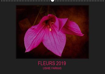 Couverture du livre « Fleurs 2019 fr version calendrier mural 2019 din a2 horizontal - fleurs avec texture calendrier » de Ushie Farkas aux éditions Calvendo