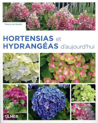 Couverture du livre « Hortensias et hydrangéas d'aujourd'hui » de Thierry De Rickel aux éditions Eugen Ulmer