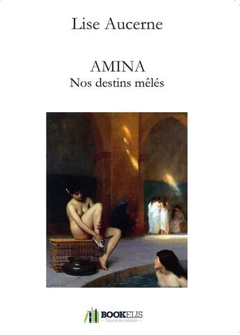 Couverture du livre « Amina t.II ; nos destins mêlés » de Lise Aucerne aux éditions Bookelis