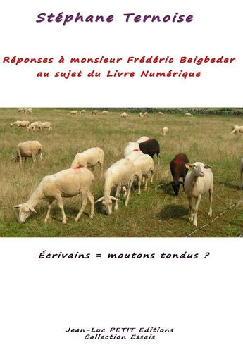 Couverture du livre « Réponses à monsieur Frédéric Beigbeder au sujet du livre numérique » de Stephane Ternoise aux éditions Jean-luc Petit Editions