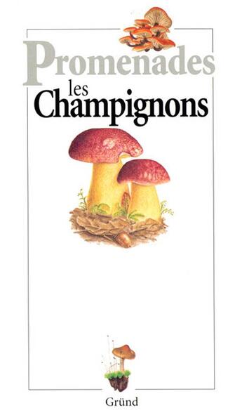 Couverture du livre « Les champignons » de Michel Cuisin aux éditions Grund
